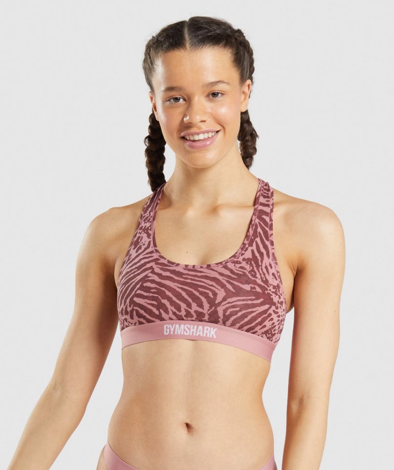 Women\'s Gymshark Cotton Bralette Underwear Pink | CA 56731N